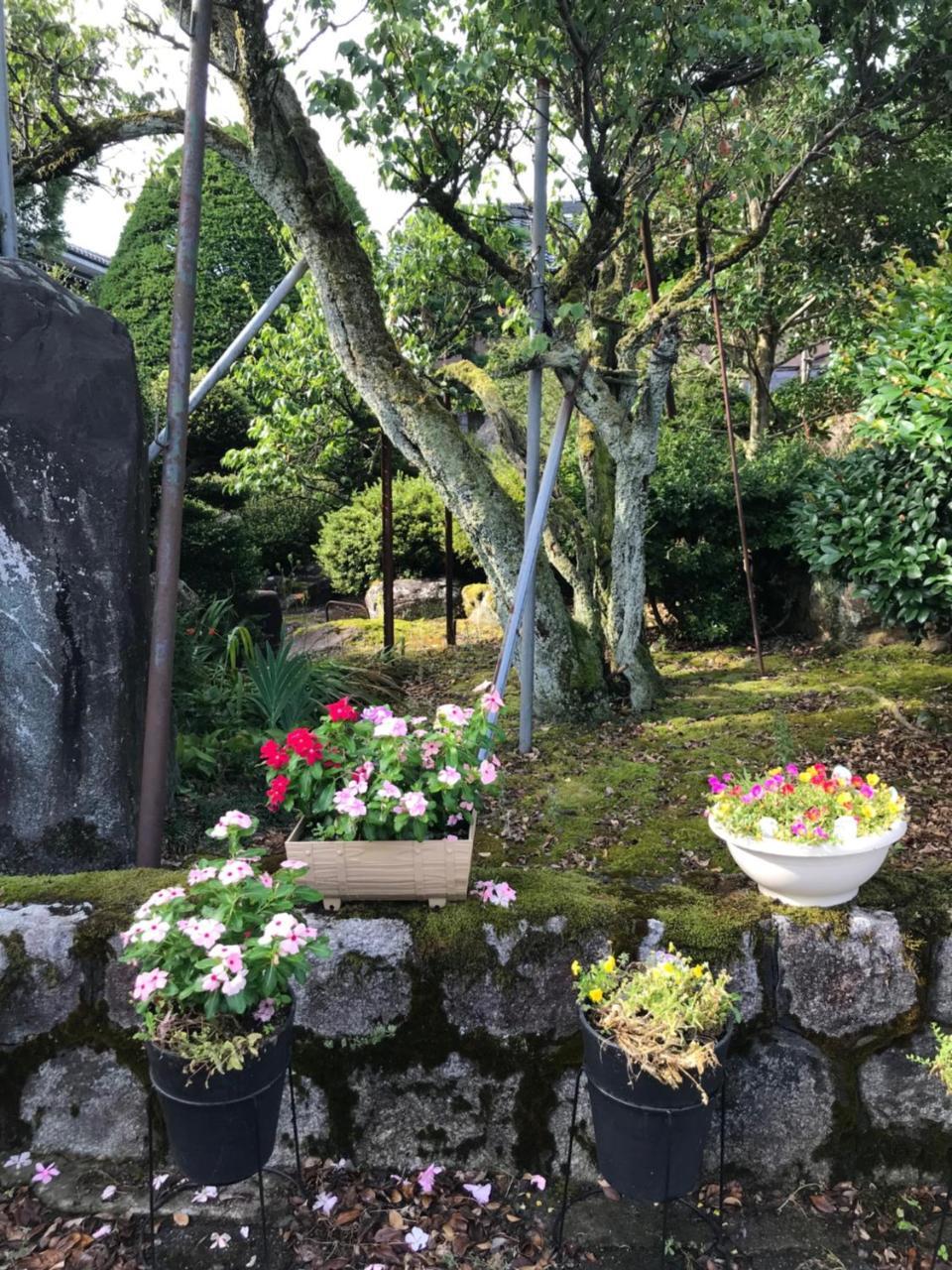 Kizuna No Ie 鱼津 外观 照片